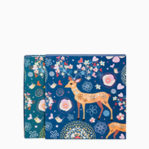 混装大容量相册